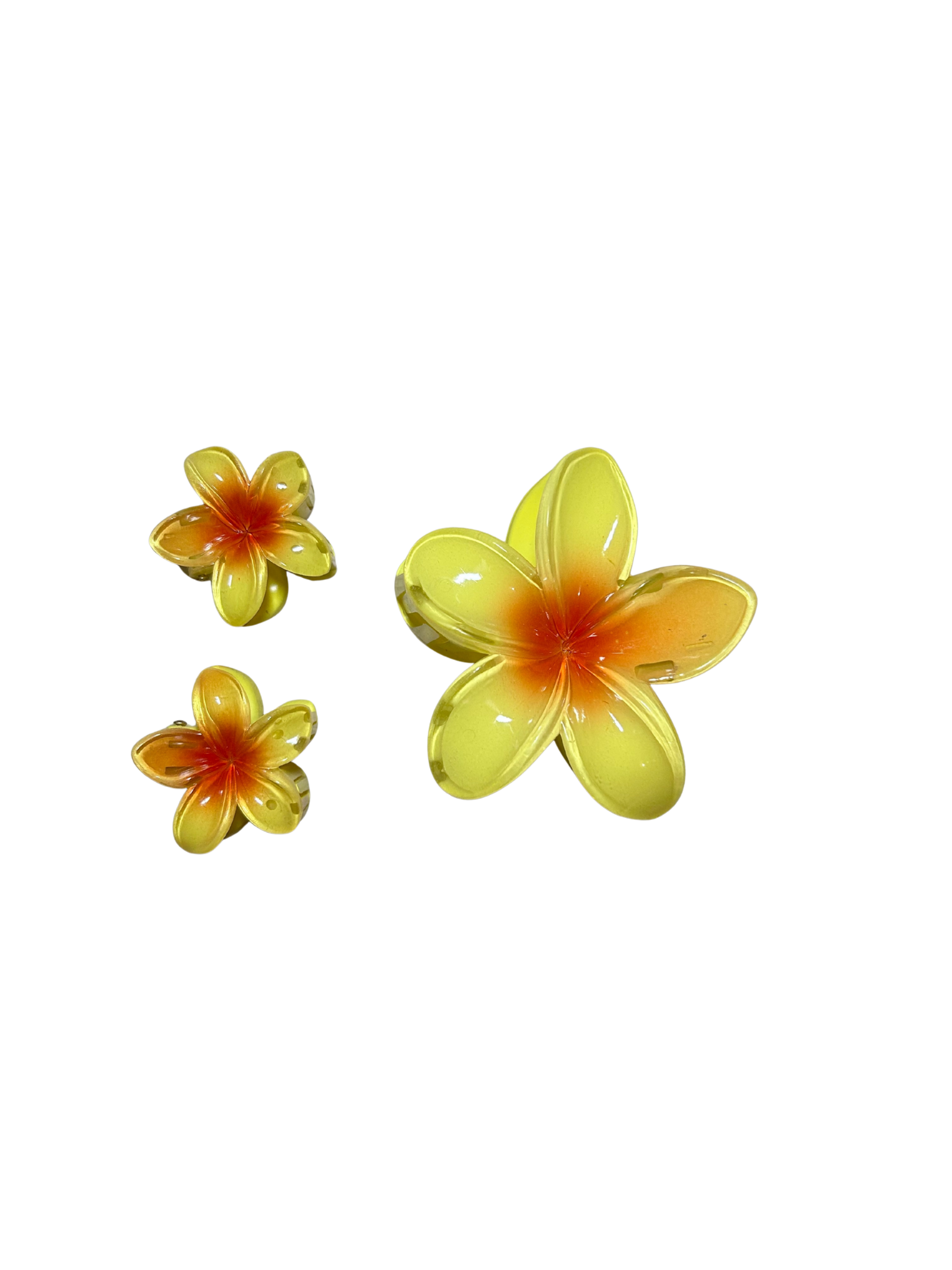 Set De Pinzas Hawaianas