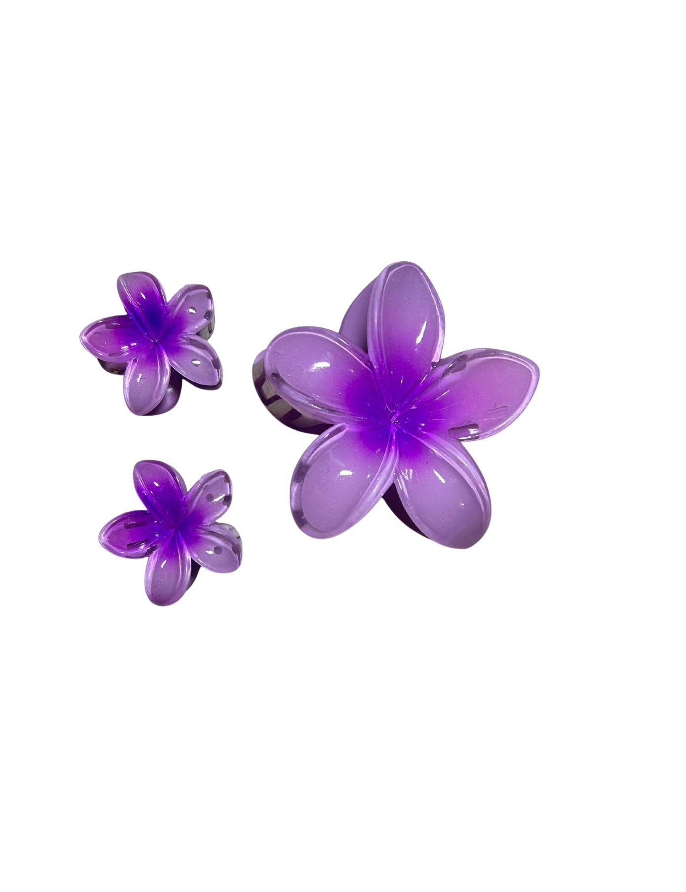 Set De Pinzas Hawaianas